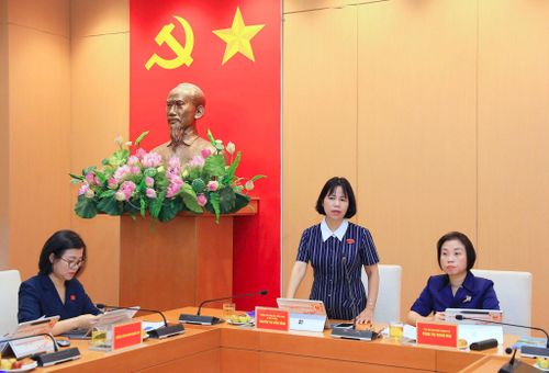 Trưởng ban Khoa học, Công nghệ và Môi trường, HĐND thành phố Hà Nội Nguyễn Thị Diễm Hằng phát biểu kết luận buổi làm việc. Ảnh: Lê Hải