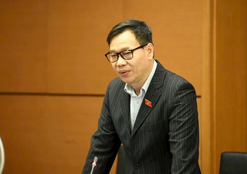 Đại biểu Đỗ Đức Hồng Hà phát biểu thảo luận. Ảnh: Như Ý
