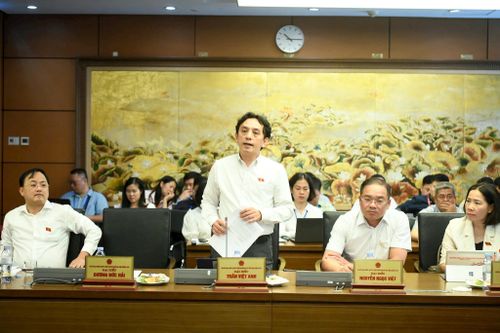 Đại biểu Quốc hội Trần Việt Anh phát biểu thảo luận tổ. Ảnh: Như ý