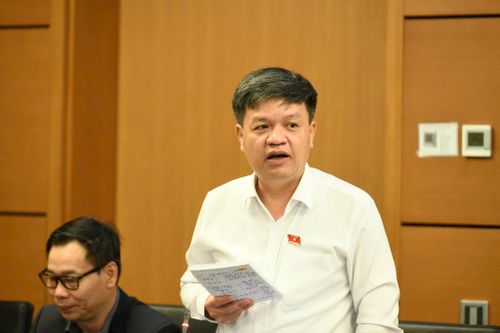 Đại biểu Quốc hội Tạ Đình Thi phát biểu thảo luận tổ. Ảnh: Như Ý