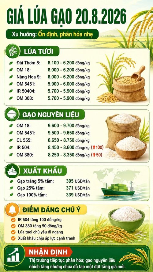 Các mức giá được tổng hợp theo dữ liệu thị trường ngày 20.8.2026; giá thực tế có thể chênh lệch tùy khu vực, chất lượng hàng và thời điểm giao dịch.