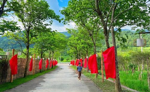 Các tuyến đường được trang trí tạo không khí rộn ràng trước Lễ hội Cốm “Hương sắc mùa thu”