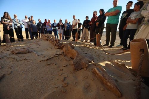 Du khách tham quan Thung lũng Cá voi Wadi Al-Hitan ở Fayoum, Ai Cập, ngày 18/8/2026. Ảnh: THX/TTXVN phát