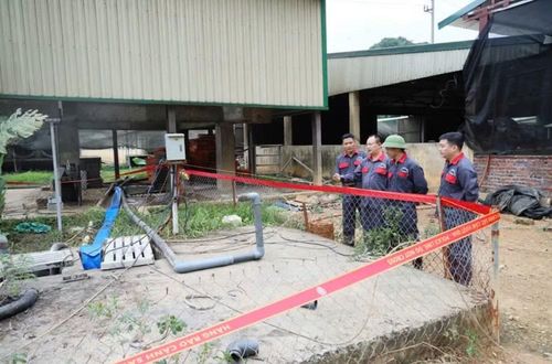 Đại diện lãnh đạo Cục Việc làm (Bộ Nội vụ) kiểm tra thực địa công tác an toàn vệ sinh lao động tại nơi xảy ra vụ tai nạn lao động tại Công ty TNHH Dabaco Thanh Hóa. (Ảnh: CHÍ TÂM)