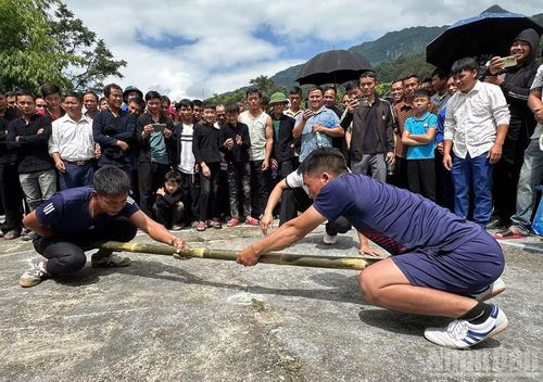 Sau phần lễ là phần hội với nhiều với các hoạt động văn hóa, thể thao truyền thống.