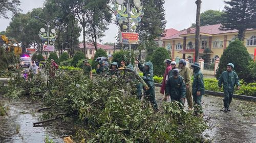 Dọn dẹp cây xanh ngã đổ tại trung tâm xã Bảo Lâm 1, tỉnh Lâm Đồng