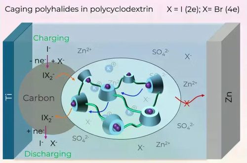 Vật liệu Polymer hữu cơ giúp ngăn không cho polyiodine đi xuyên qua màn ngăn làm giảm tuổi thọ pin sau mỗi lần sạc - xả.