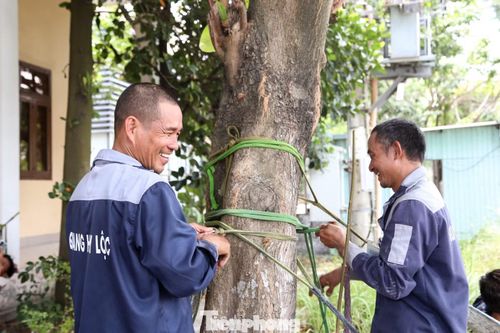 Công nhân mắc võng dưới bóng mát để nghỉ ngơi.