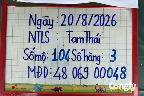 Thông tin ghi nhận tại phần mộ số 104, hàng thứ 3, Nghĩa trang liệt sĩ Tam Thái, nơi phát hiện các di vật.