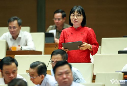 Đại biểu Nguyễn Thị Việt Nga 
