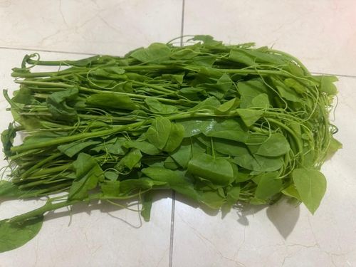 Rau bò khai được nhiều người tìm mua. Ảnh: Hoa Linh.