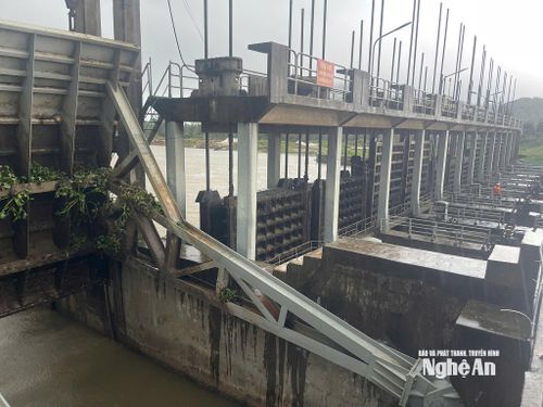 Bara Nghi Quang mở tất cả các cửa cống để tiêu úng cho vùng nội đồng. Ảnh: Thúy Vinh