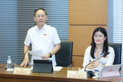 Đại biểu Trần Đình Gia - Phó Trưởng đoàn chuyên trách Đoàn ĐBQH tỉnh tham gia thảo luận.