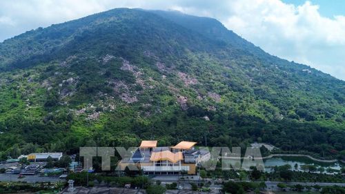 Các hoạt động du lịch tại Núi Bà Đen góp phần gia tăng sức hấp dẫn của Tây Ninh đối với du khách trong và ngoài nước. Ảnh: Giang Phương - TTXVN