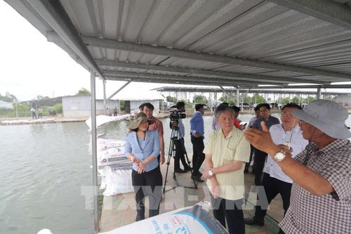 Đoàn công tác khảo sát mô hình nuôi cá tra tại phường Hồng Ngự. Ảnh: Hồng Thái – TTXVN