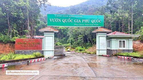 Vườn Quốc gia Phú Quốc quản lý đất rừng không chặt chẽ
