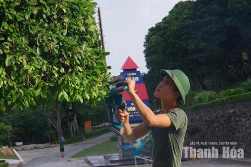 Cắt tỉa cây xanh là một trong những công việc được cán bộ, chiến sĩ duy trì thường xuyên để giữ cảnh quan trên đảo.