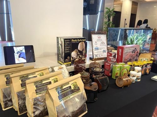 Gian trưng bày các sản phẩm dành cho thú cưng. Ảnh: Petfair Vietnam