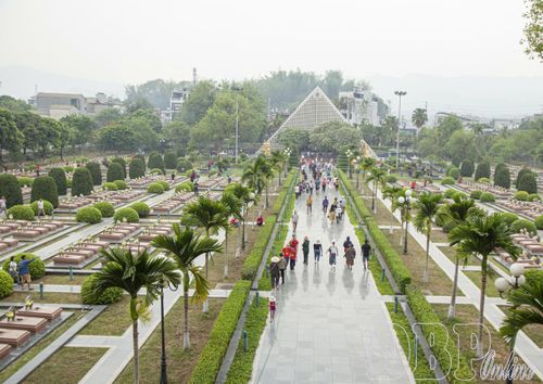 Nghĩa trang Liệt sĩ quốc gia A1 hiện có 645 mộ đơn; trong đó, 10 mộ có đầy đủ thông tin, 39 mộ có một phần thông tin và 596 mộ chưa có thông tin. Qua rà soát, có 635 phần mộ cần khai quật, thu nhận mẫu sinh phẩm phục vụ đối sánh, xác định danh tính liệt sĩ.