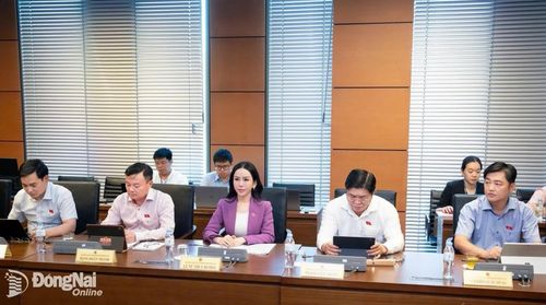 Các đại biểu Đoàn Đại biểu Quốc hội thành phố Đồng Nai tham dự phiên thảo luận ở tổ ngày 20-8. Ảnh: CTV