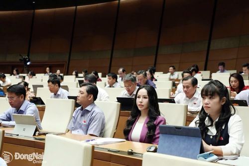 Các đại biểu Đoàn Đại biểu Quốc hội thành phố Đồng Nai tham dự phiên thảo luận ở hội trường ngày 20-8. Ảnh: CTV