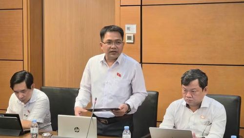 ĐB Trường Trung Tuyến cho rằng cần có cơ chế mạnh để xử lý các tồn đọng lịch sử trong cấp giấy chứng nhận quyền sử dụng đất. Ảnh: Đoàn ĐBQH tỉnh Gia Lai