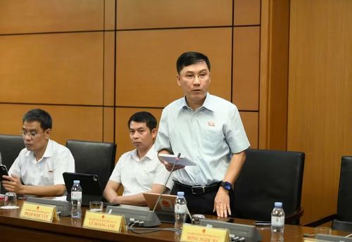 ĐB Lê Hoàng Anh đề nghị luật cần làm rõ phạm vi thể chế hóa, công cụ pháp lý, phân quyền và trách nhiệm, cơ chế kiểm soát, tổ chức thực hiện. Ảnh: Đoàn ĐBQH tỉnh Gia Lai