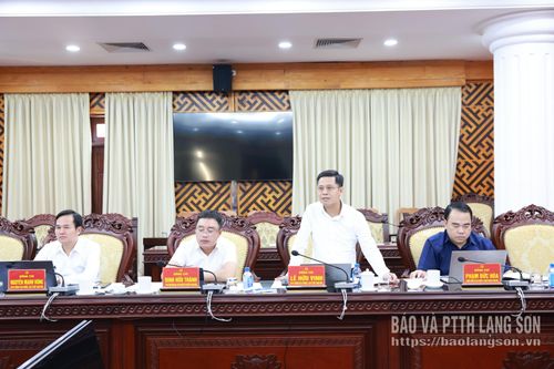 Thành viên đoàn kiểm tra, giám sát phát biểu ý kiến tại buổi làm việc