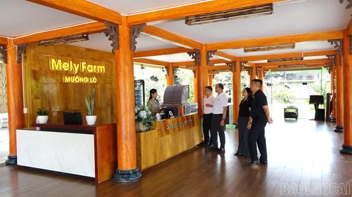 Các cơ sở lưu trú được chỉ đạo nâng cao chất lượng phục vụ.