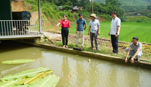 Muốn người dân thay đổi cách nghĩ, cách làm, trước hết cán bộ, đảng viên thôn Bản Tát phải là những người đi đầu, gương mẫu trong phát triển các mô hình kinh tế.