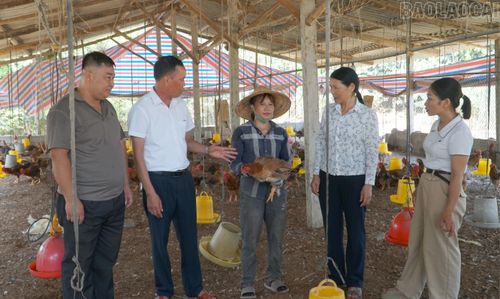 Cán bộ xã Xuân Ái và thôn Quyết Hùng nắm bắt tình hình tại các hộ chăn nuôi trên địa bàn.