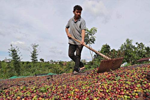 Từ những kiến nghị sát thực tế, các vấn đề về sản xuất và đời sống người dân được quan tâm giải quyết