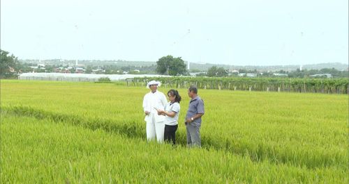 Ông Tuấn từng tham gia triển khai dự án tuyên truyền, vận động nông dân áp dụng canh tác lúa thân thiện với môi trường