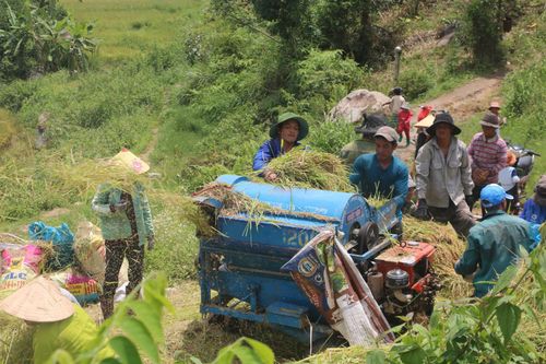 Người dân Đam Rông 4 tích cực lao động sản xuất, phát triển kinh tế địa phương