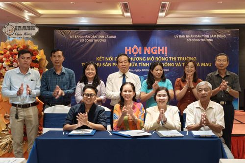 Ký biên bản ghi nhớ hợp tác giữa các doanh nghiệp Lâm Đồng và Cà Mau