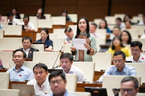 Đại biểu Cil Bri, Đoàn ĐBQH tỉnh Lâm Đồng tham gia thảo luận