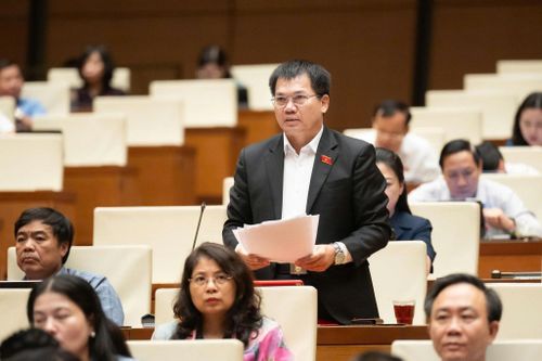 Đại biểu Dương Khắc Mai, Phó Trưởng Đoàn ĐBQH tỉnh Lâm Đồng phát biểu tại nghị trường