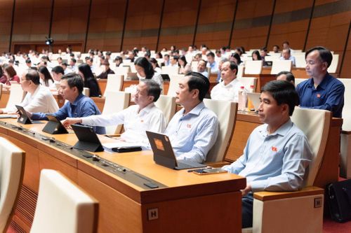 Các đại biểu tham dự Phiên họp