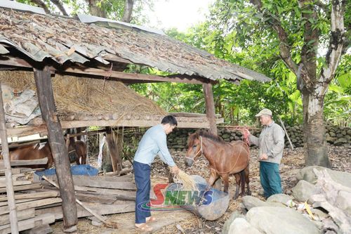 Cán bộ thú y xã Pắc Ngà hướng dẫn người dân bổ sung thức ăn cho đàn vật nuôi.