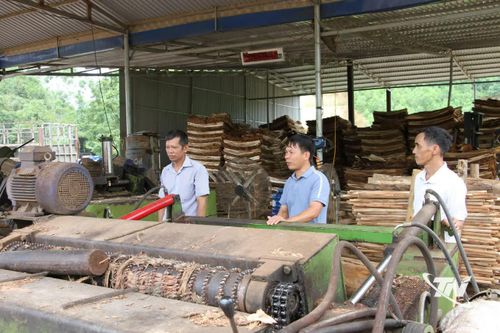Anh Lô Văn Đoàn, Bí thư Chi bộ xóm Ba Quà, xã Văn Hán (người đứng giữa) mở xưởng ván bóc, tạo việc làm thường xuyên cho nhiều lao động tại địa phương.