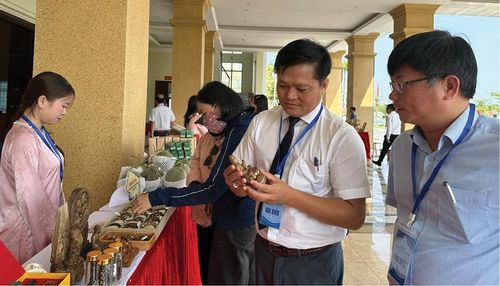  Liên minh HTX tổ chức giới thiệu, trưng bày kết nối tiêu thụ sản phẩm cho các HTX thành viên.