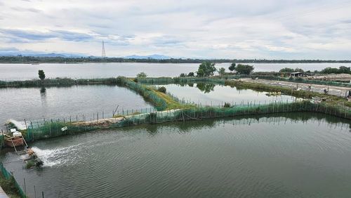 Vùng nuôi sinh thái trên đầm phá có thể kết hợp blue carbon với thủy sản sạch và du lịch cộng đồng.