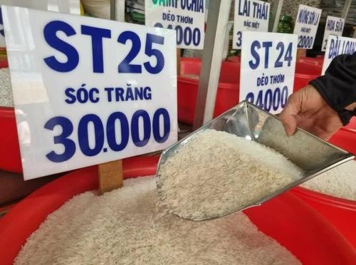 Giá gạo nguyên liệu xuất khẩu IR 50404 hôm nay giảm 100 đồng/kg. Ảnh minh họa