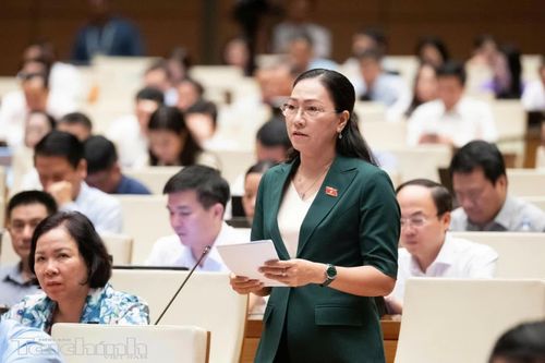 Đại biểu Nguyễn Thị Yến Nhi (đoàn Vĩnh Long) phát biểu. Ảnh: Đức Thanh