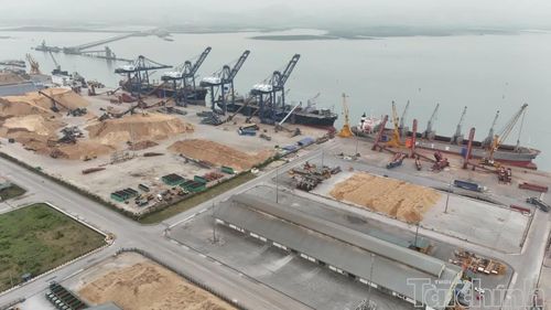 Thu nội địa đang giữ vai trò chủ đạo trong cơ cấu thu ngân sách của Quảng Ninh. Ảnh Tiến Dũng