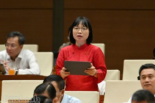 Đại biểu Nguyễn Thị Việt Nga phát biểu. Ảnh: Đức Thanh