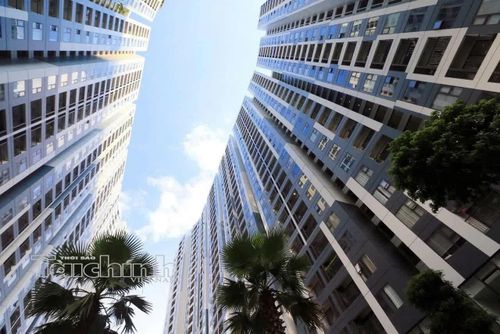 Chung cư vẫn là một trong số ít loại hình duy trì được lượng giao dịch nhất định và mức độ quan tâm khá ổn định. Ảnh: Đức Thanh