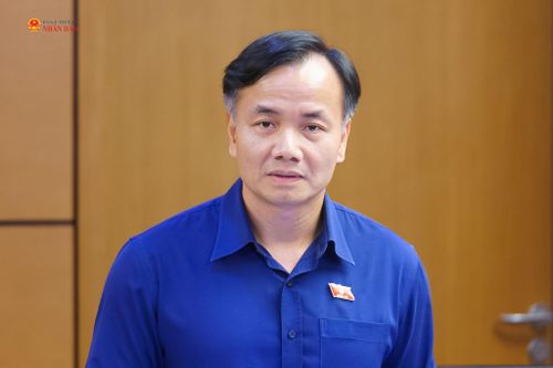 ĐBQH Trần Hoài Nam (Cà Mau) phát biểu thảo luận tại tổ
