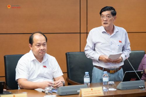 ĐBQH Trương Dũng Tiến (Cà Mau) phát biểu thảo luận tại tổ