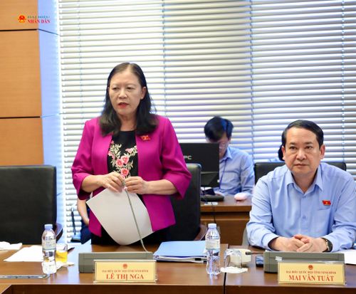 ĐBQH Lê Thị Nga (Ninh Bình) phát biểu thảo luận tại Tổ 10
